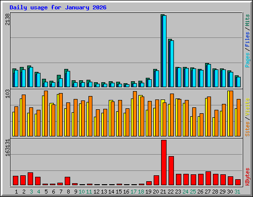 Daily usage for January 2026