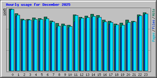 Hourly usage for December 2025
