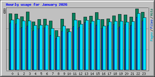 Hourly usage for January 2026